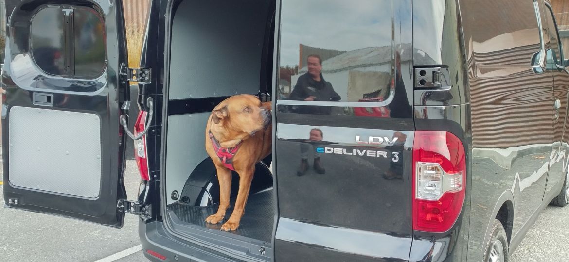 A Bull Mastiff dog examines LDV Electric Van