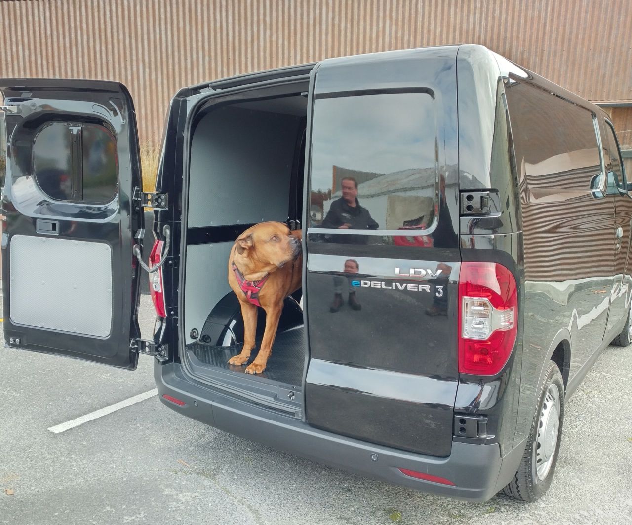 A Bull Mastiff dog examines LDV Electric Van